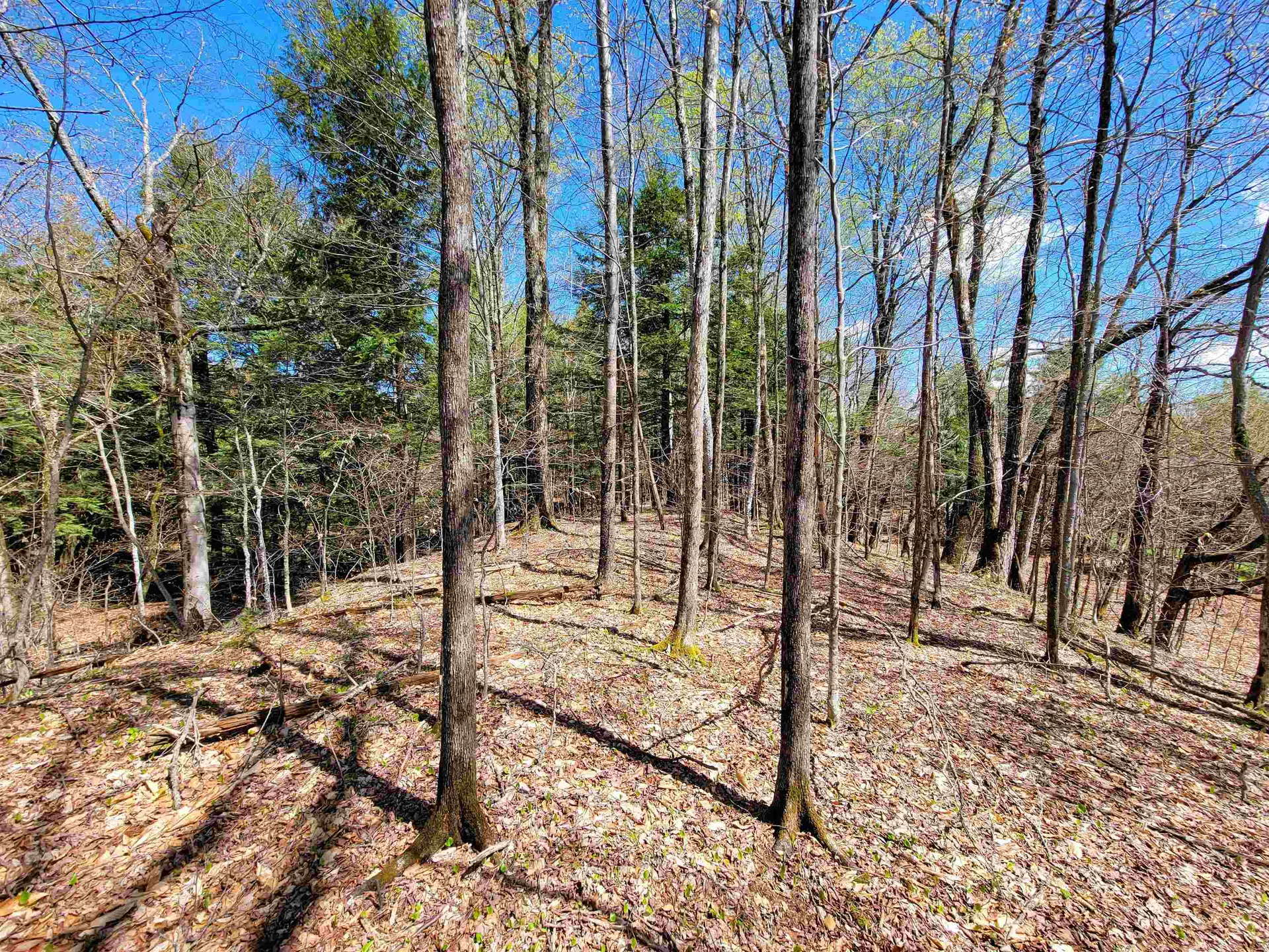 667 Cemetery Street Brookfield VT 05036
