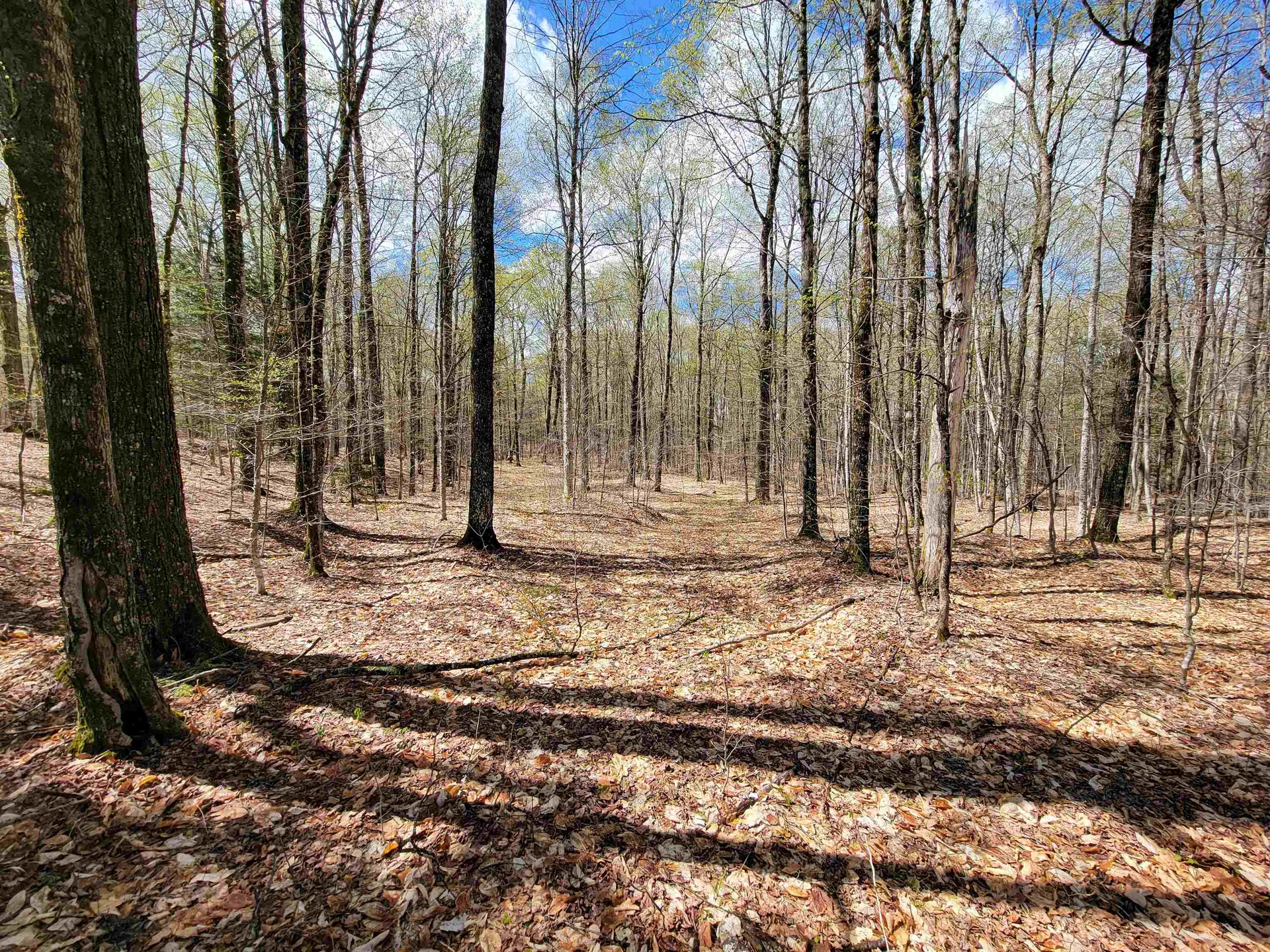667 Cemetery Street Brookfield VT 05036