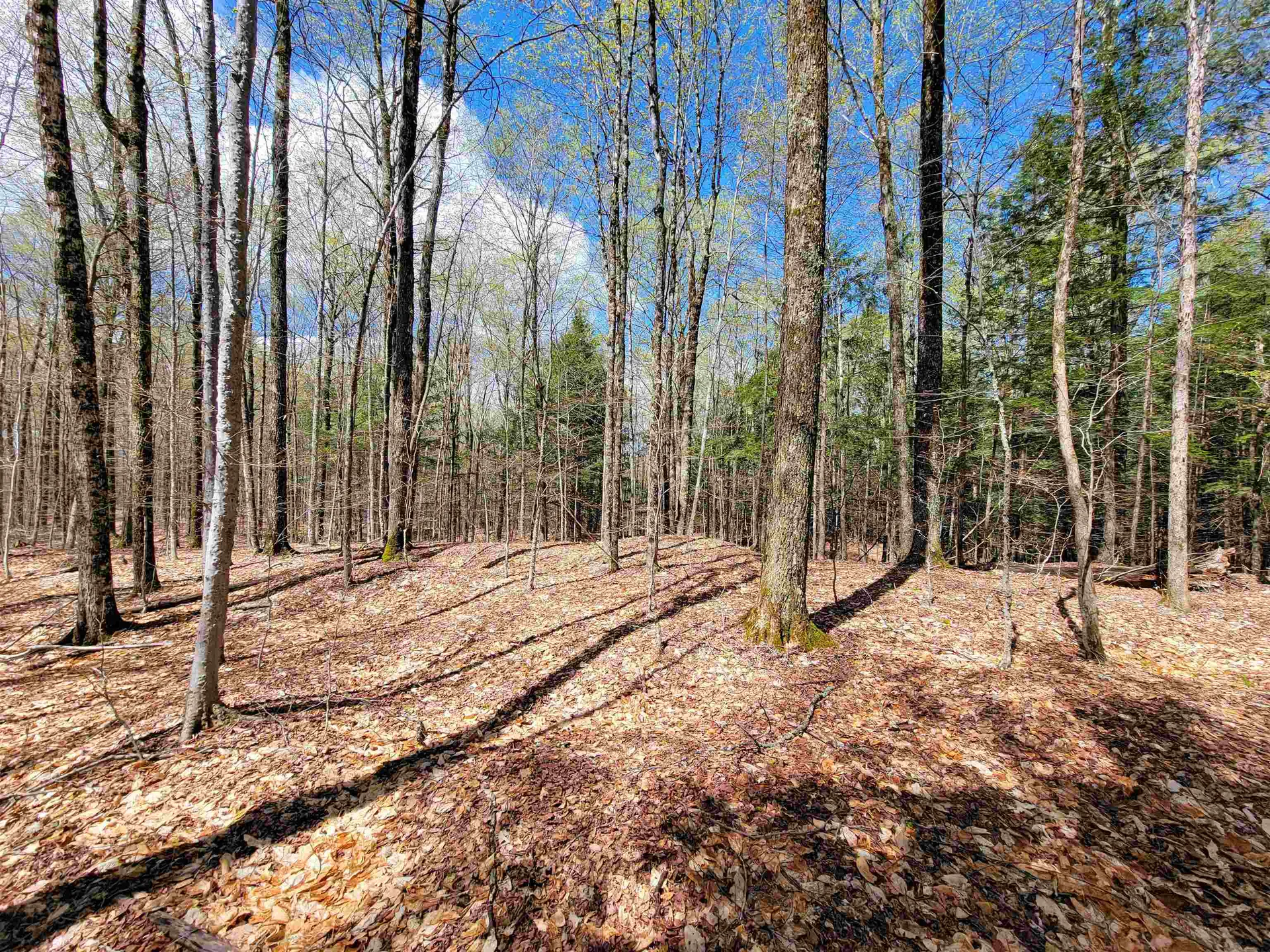 667 Cemetery Street Brookfield VT 05036
