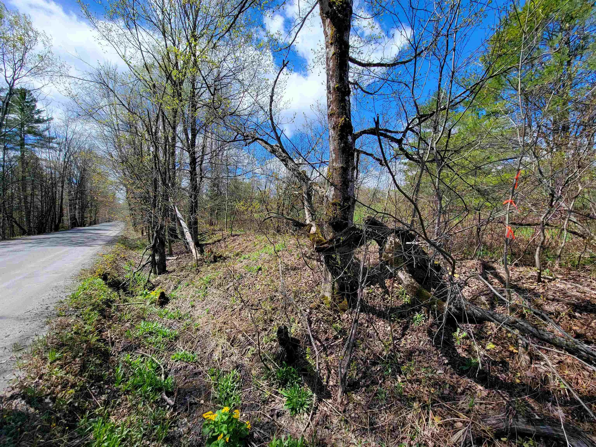 667 Cemetery Street Brookfield VT 05036