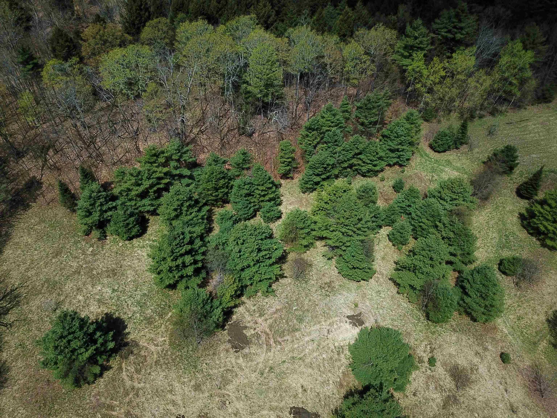 667 Cemetery Street Brookfield VT 05036