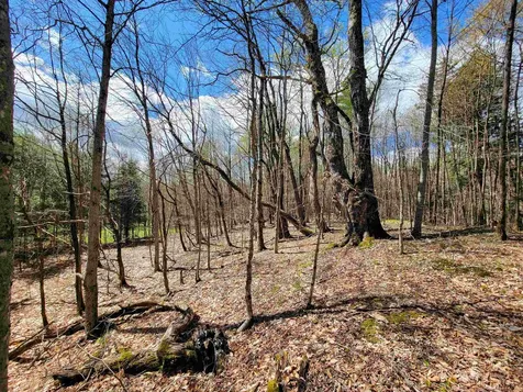 667 Cemetery Street Brookfield VT 05036