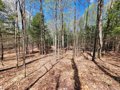 667 Cemetery Street Brookfield VT 05036