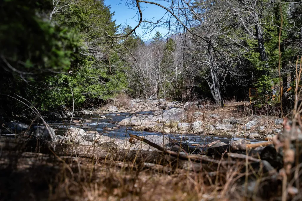 Lot 1 N Dorchester Road Wentworth NH 03282