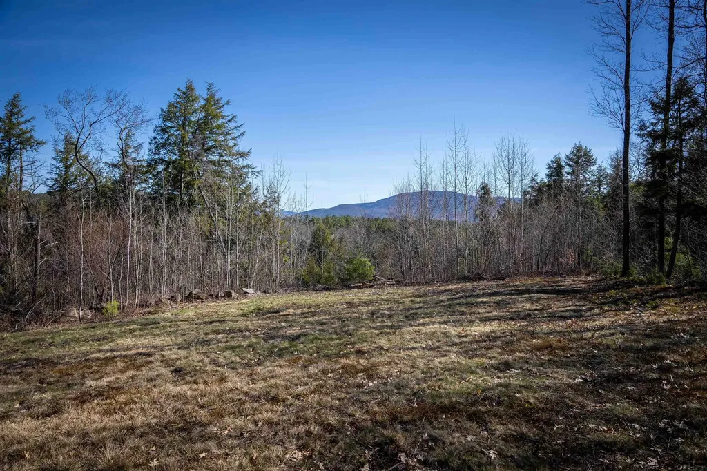 Lot 1 N Dorchester Road Wentworth NH 03282