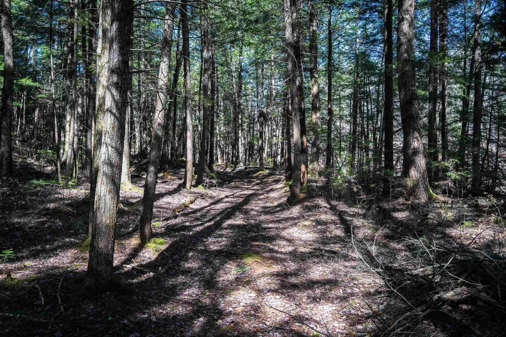 Lot 1 N Dorchester Road Wentworth NH 03282