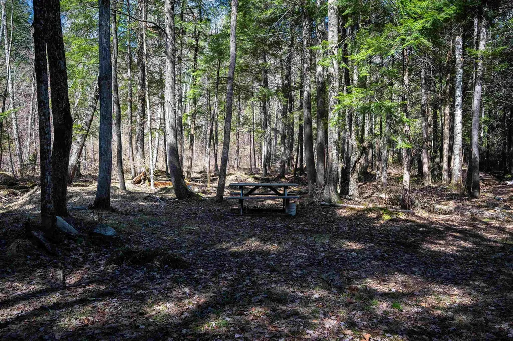 Lot 1 N Dorchester Road Wentworth NH 03282