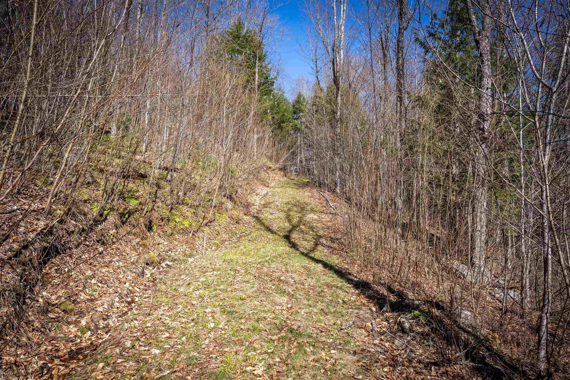 Lot 1 N Dorchester Road Wentworth NH 03282