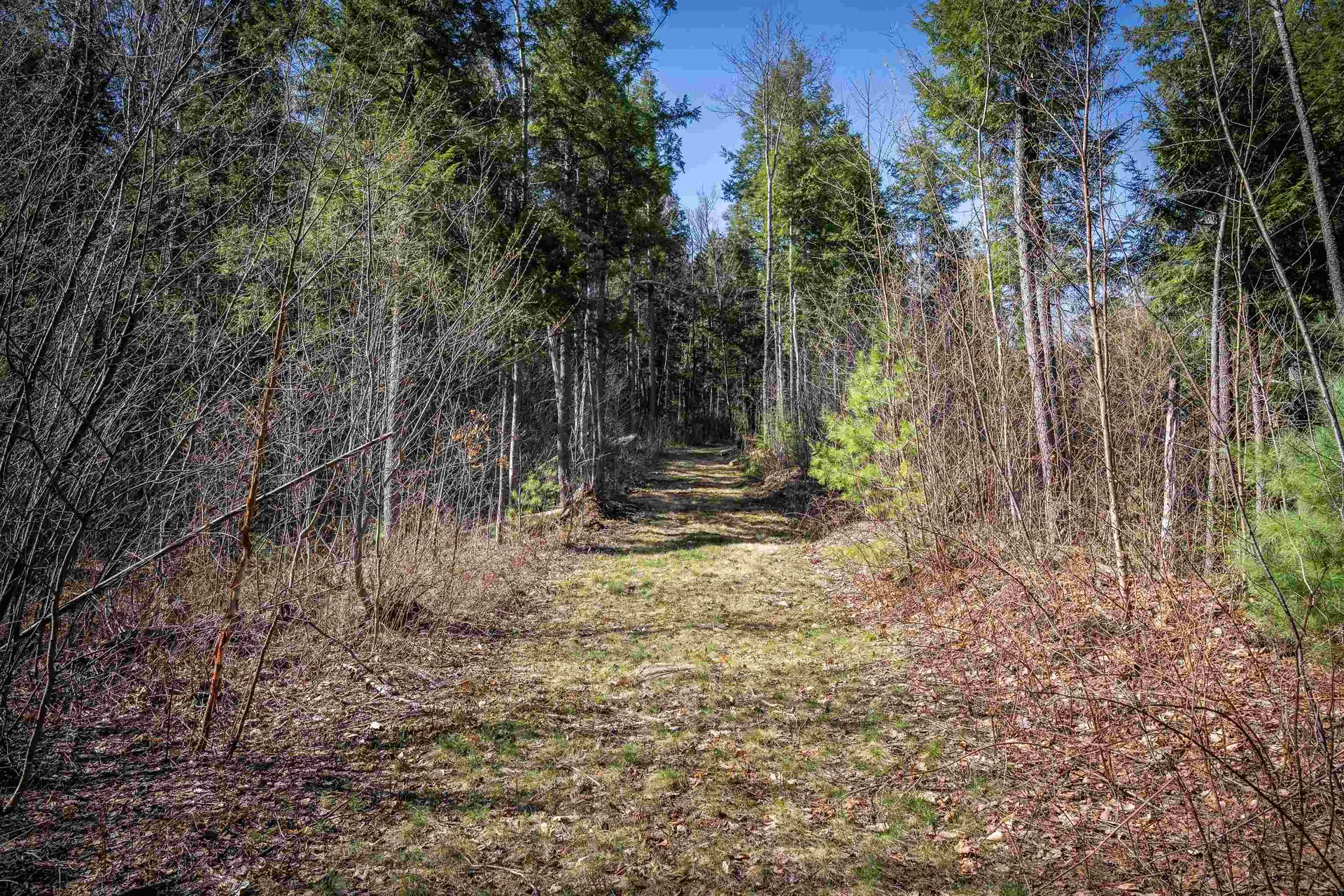 Lot 1 N Dorchester Road Wentworth NH 03282
