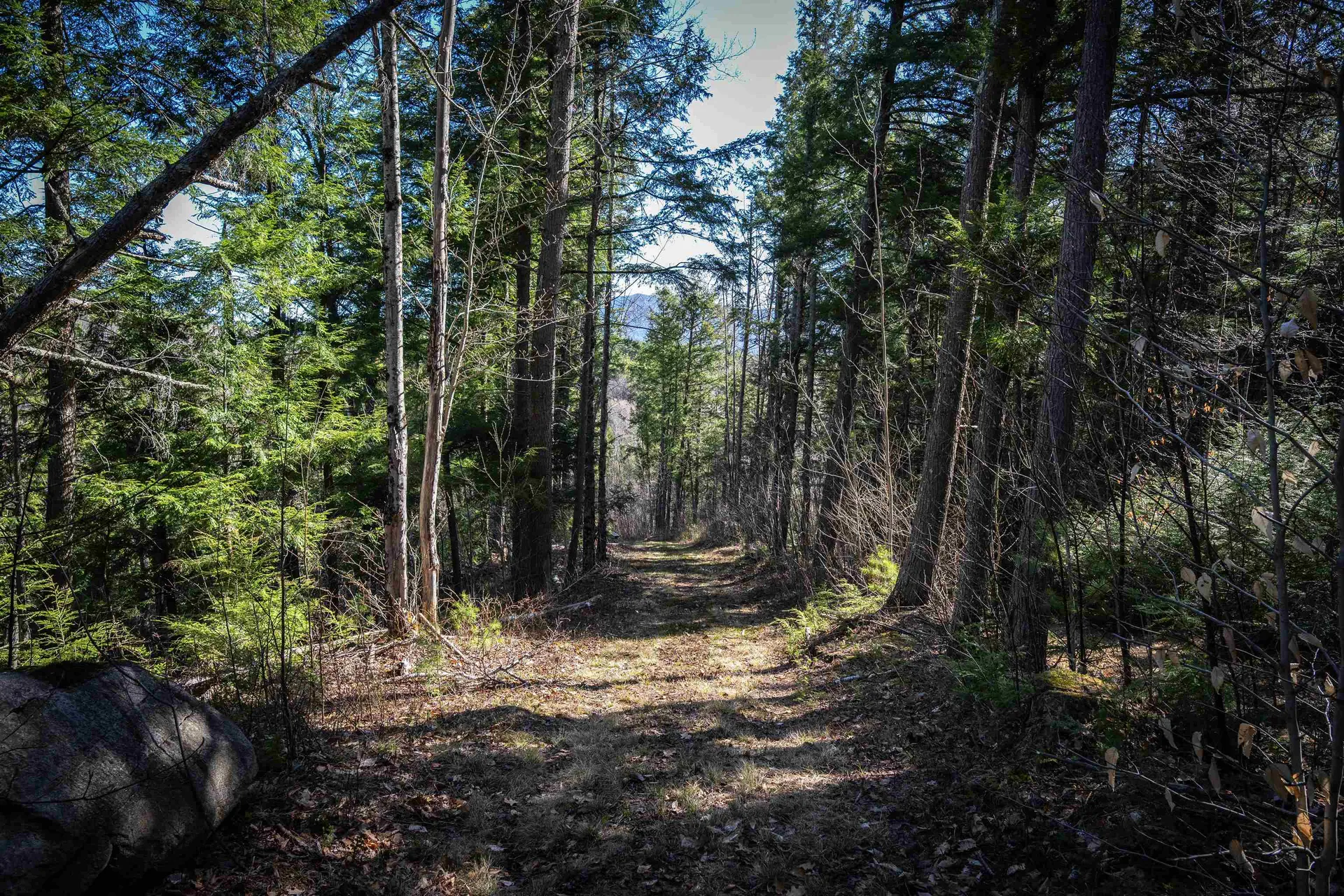 Lot 1 N Dorchester Road Wentworth NH 03282