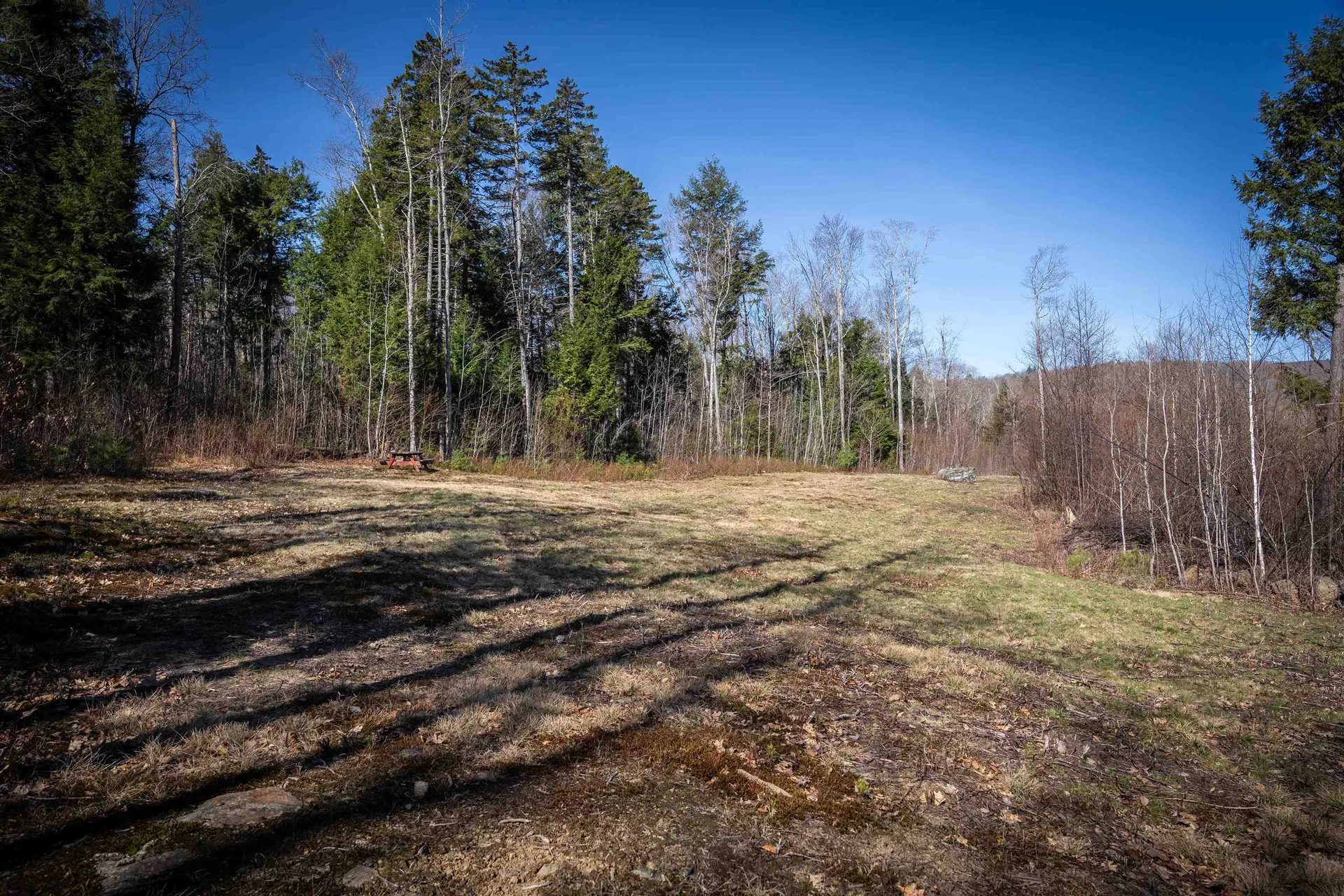 Lot 1 N Dorchester Road Wentworth NH 03282