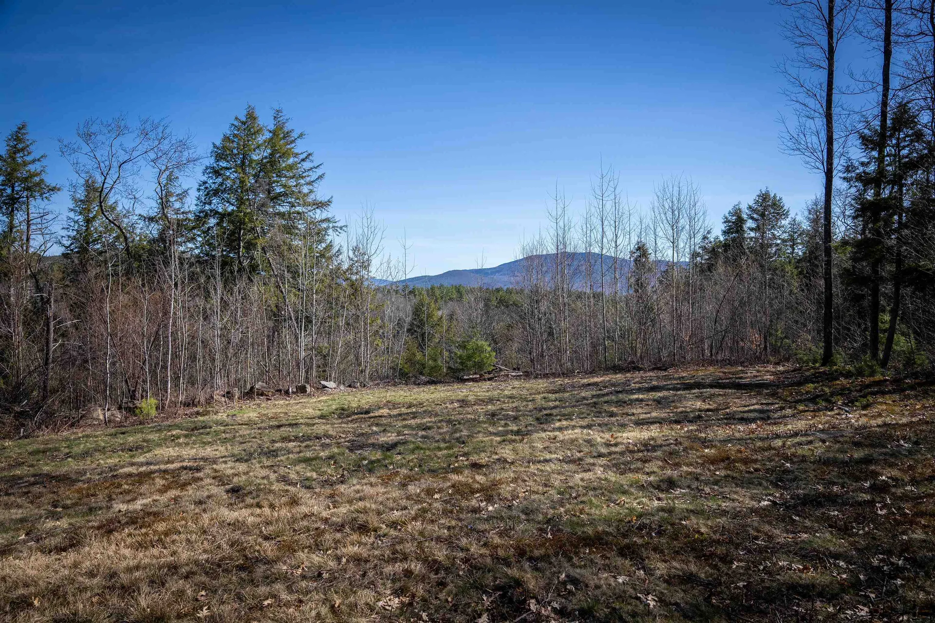 Lot 1 N Dorchester Road Wentworth NH 03282