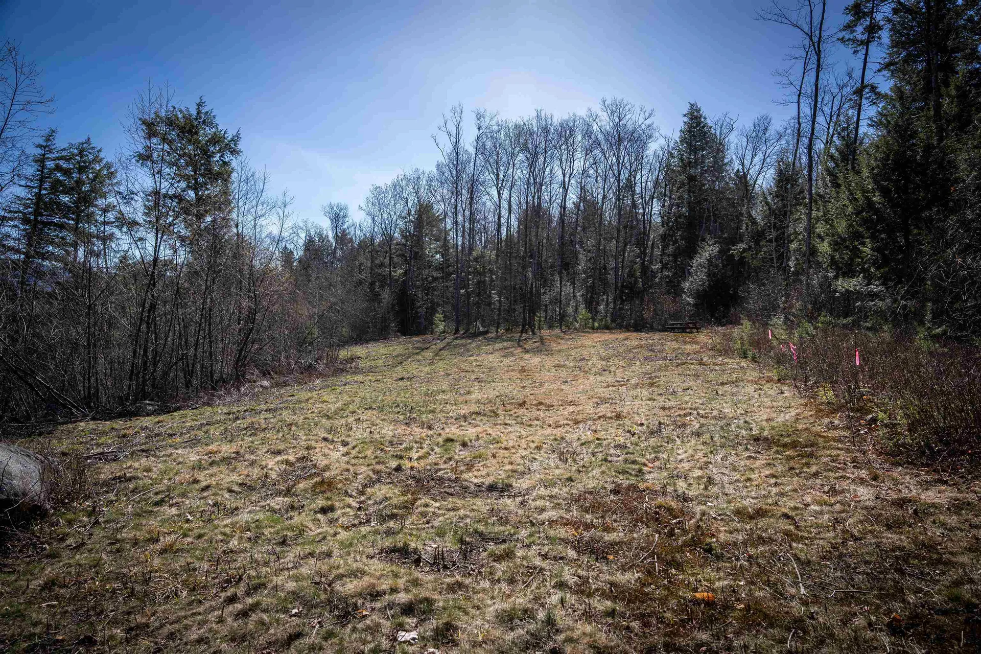 Lot 1 N Dorchester Road Wentworth NH 03282