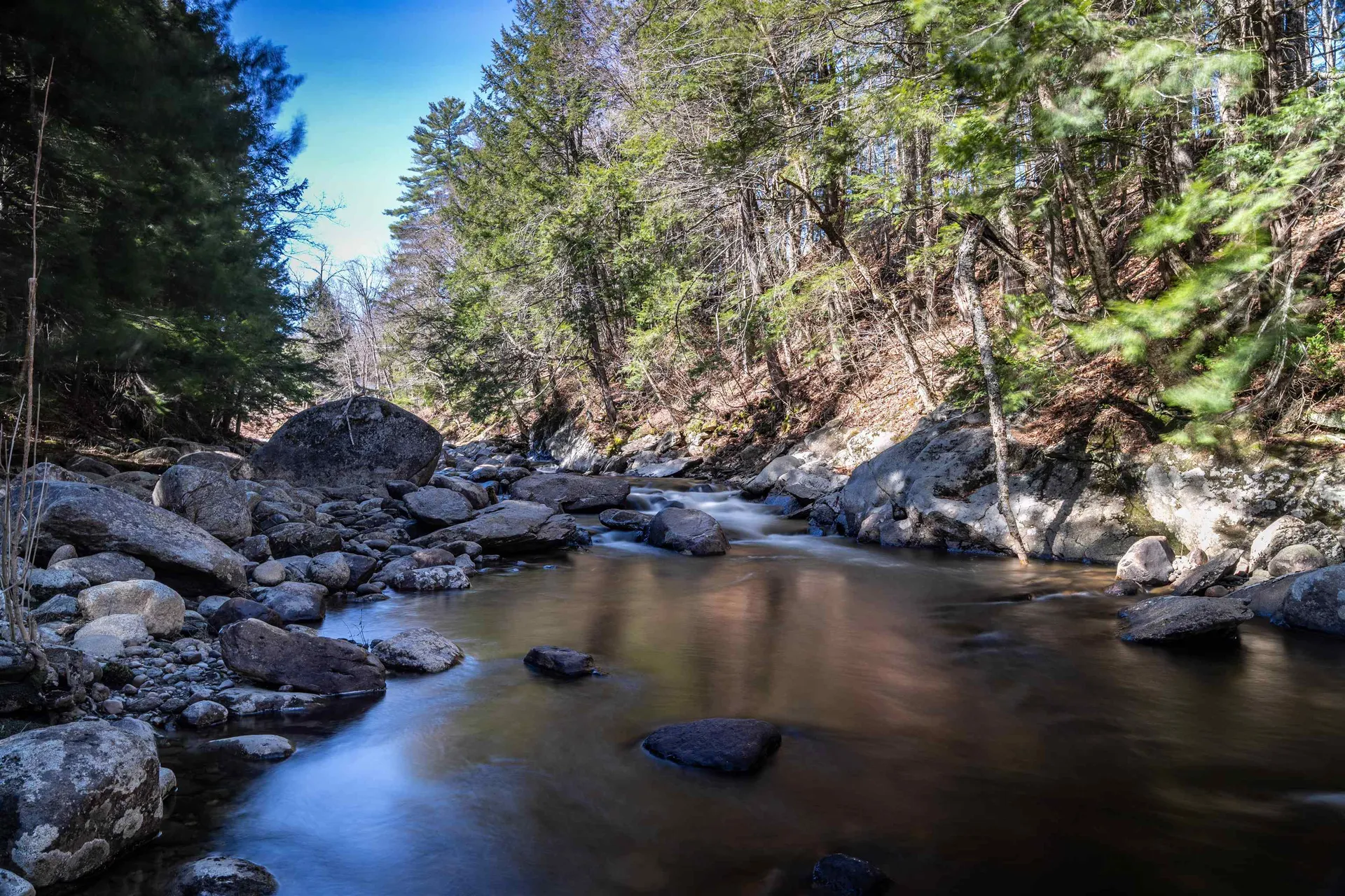Lot 1 N Dorchester Road Wentworth NH 03282