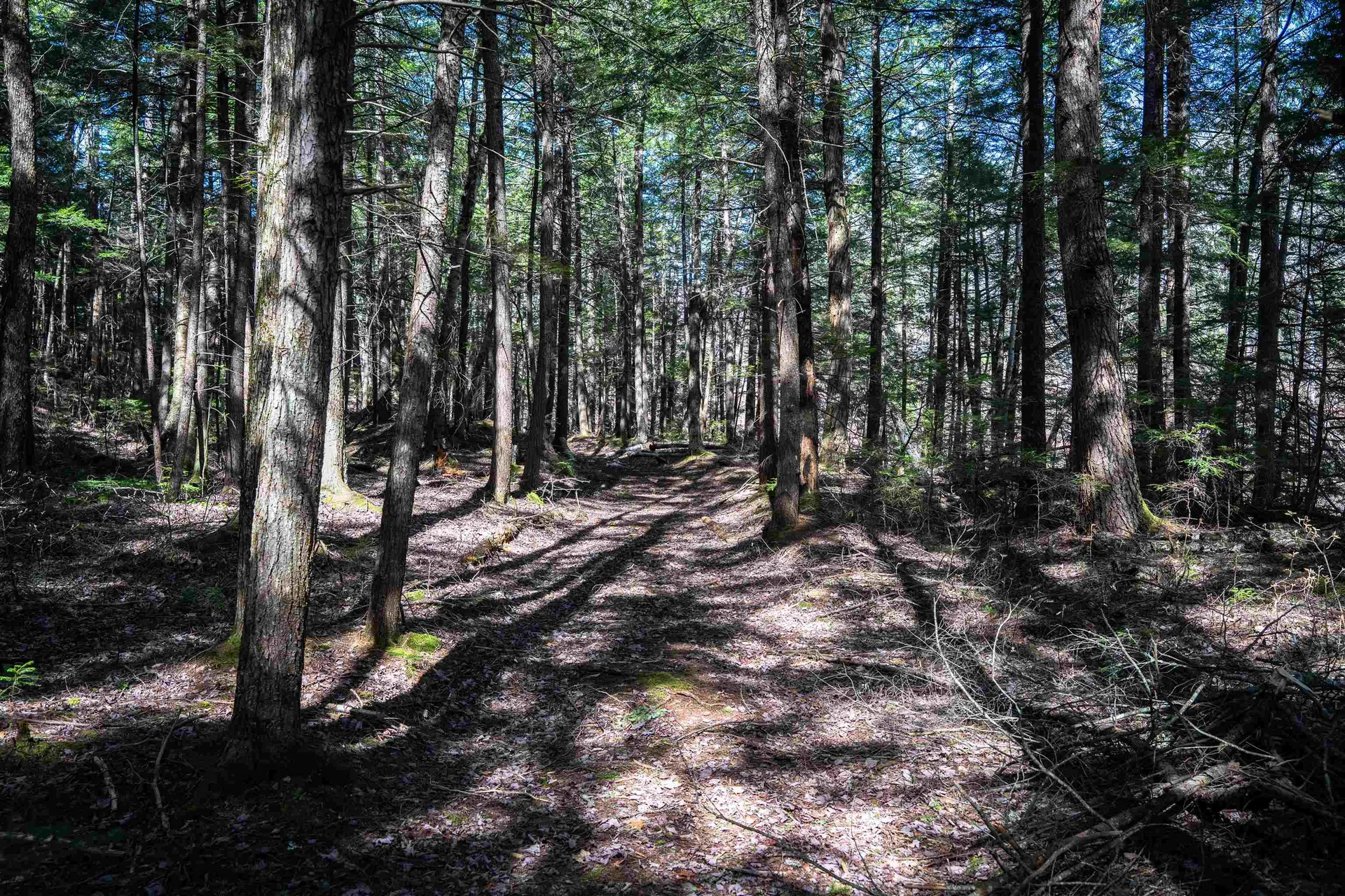 Lot 1 N Dorchester Road Wentworth NH 03282