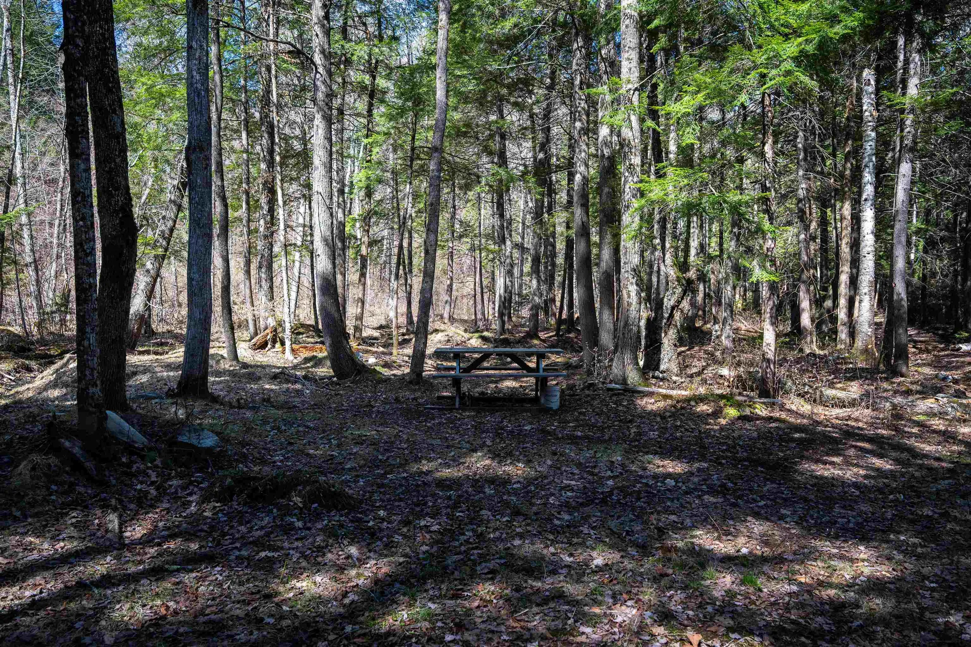 Lot 1 N Dorchester Road Wentworth NH 03282