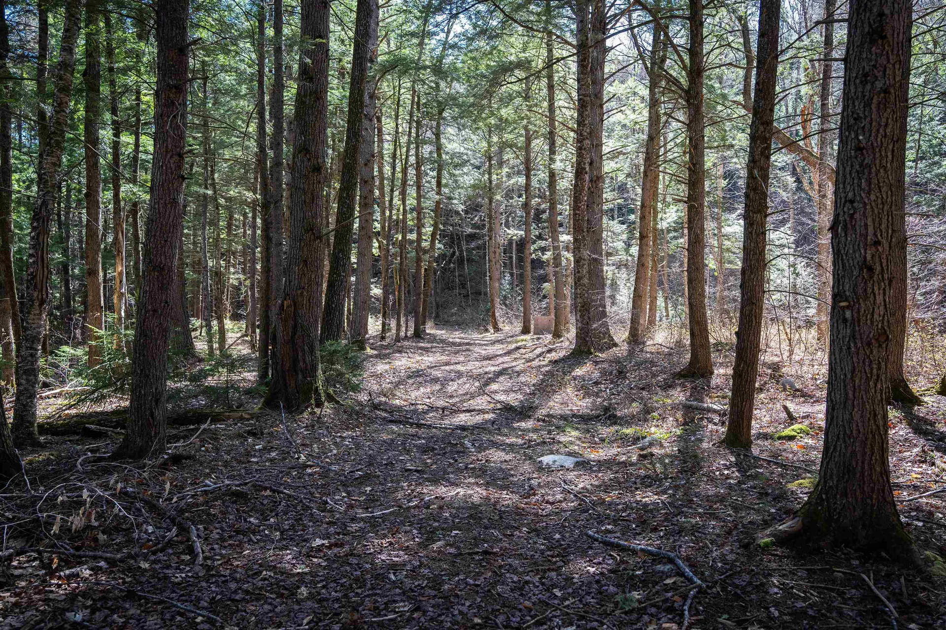 Lot 1 N Dorchester Road Wentworth NH 03282