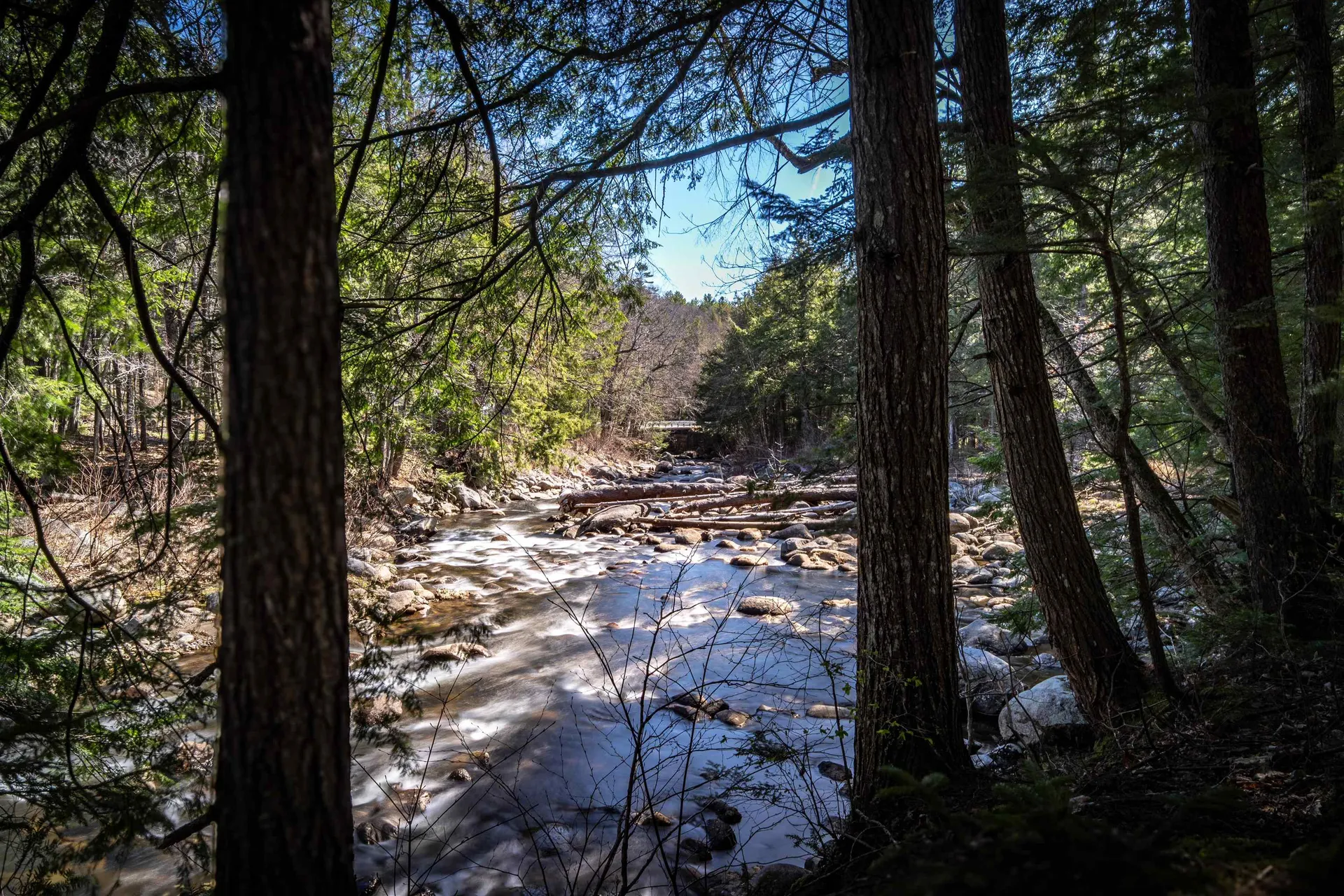 Lot 1 N Dorchester Road Wentworth NH 03282