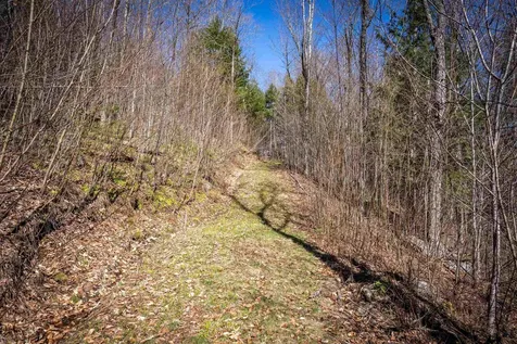 Lot 1 N Dorchester Road Wentworth NH 03282