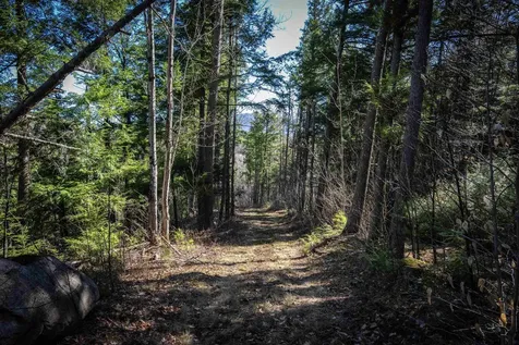 Lot 1 N Dorchester Road Wentworth NH 03282