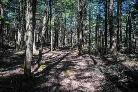 Lot 1 N Dorchester Road Wentworth NH 03282