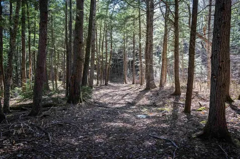Lot 1 N Dorchester Road Wentworth NH 03282