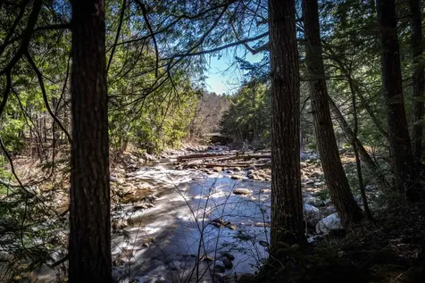 Lot 1 N Dorchester Road Wentworth NH 03282