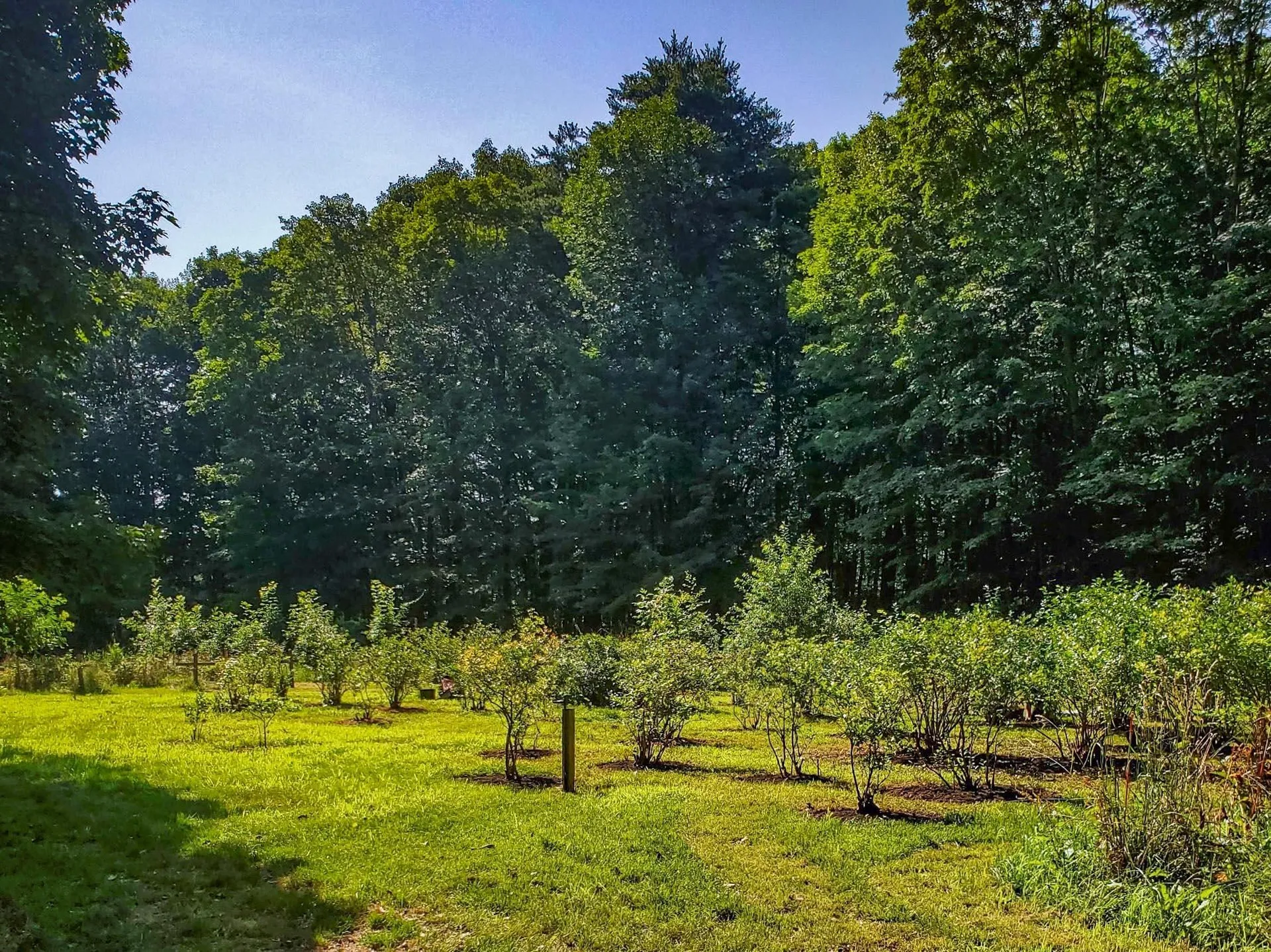226 Amesbury Road Kensington NH 03833