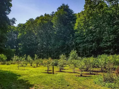 226 Amesbury Road Kensington NH 03833