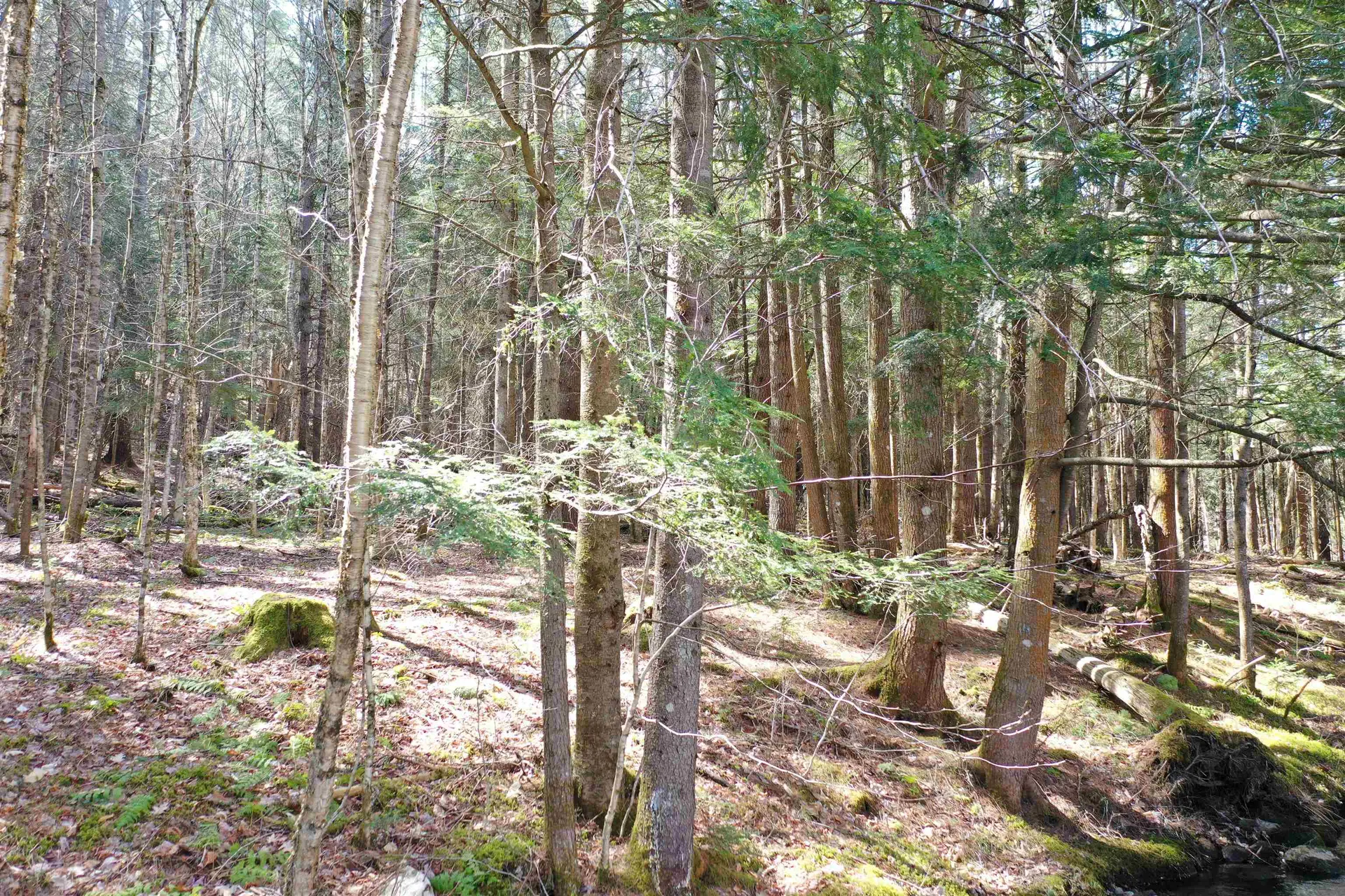 210 Valley Road Haverhill NH 03785