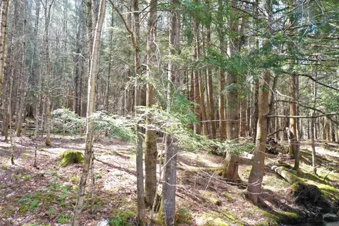 210 Valley Road Haverhill NH 03785