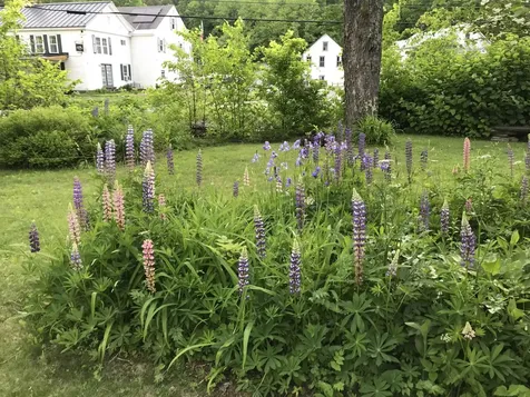 171 Route 112 Whitingham VT 05342