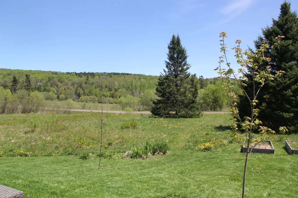 1981 Danville Hill Road Cabot VT 05647