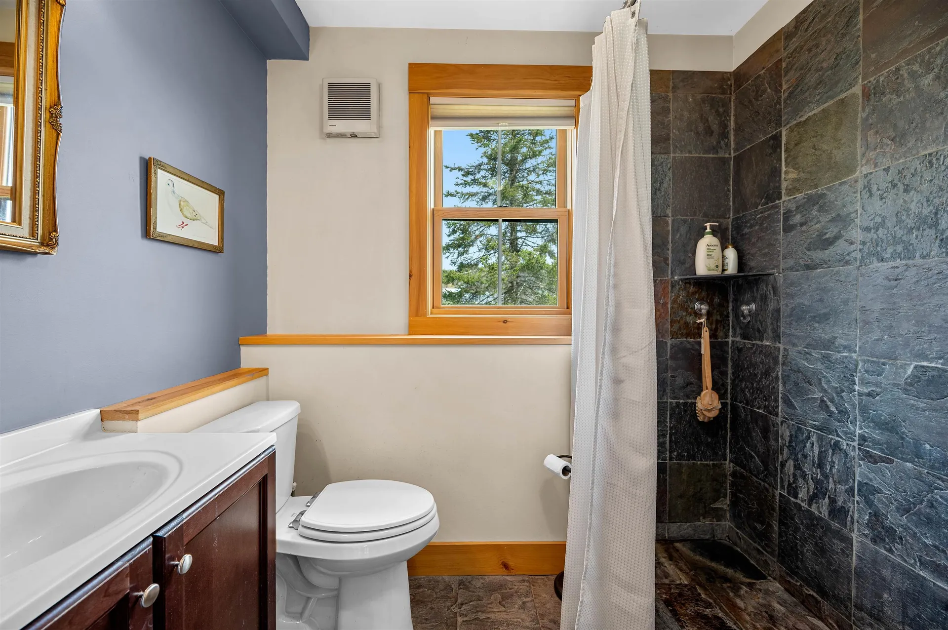 1981 Danville Hill Road Cabot VT 05647