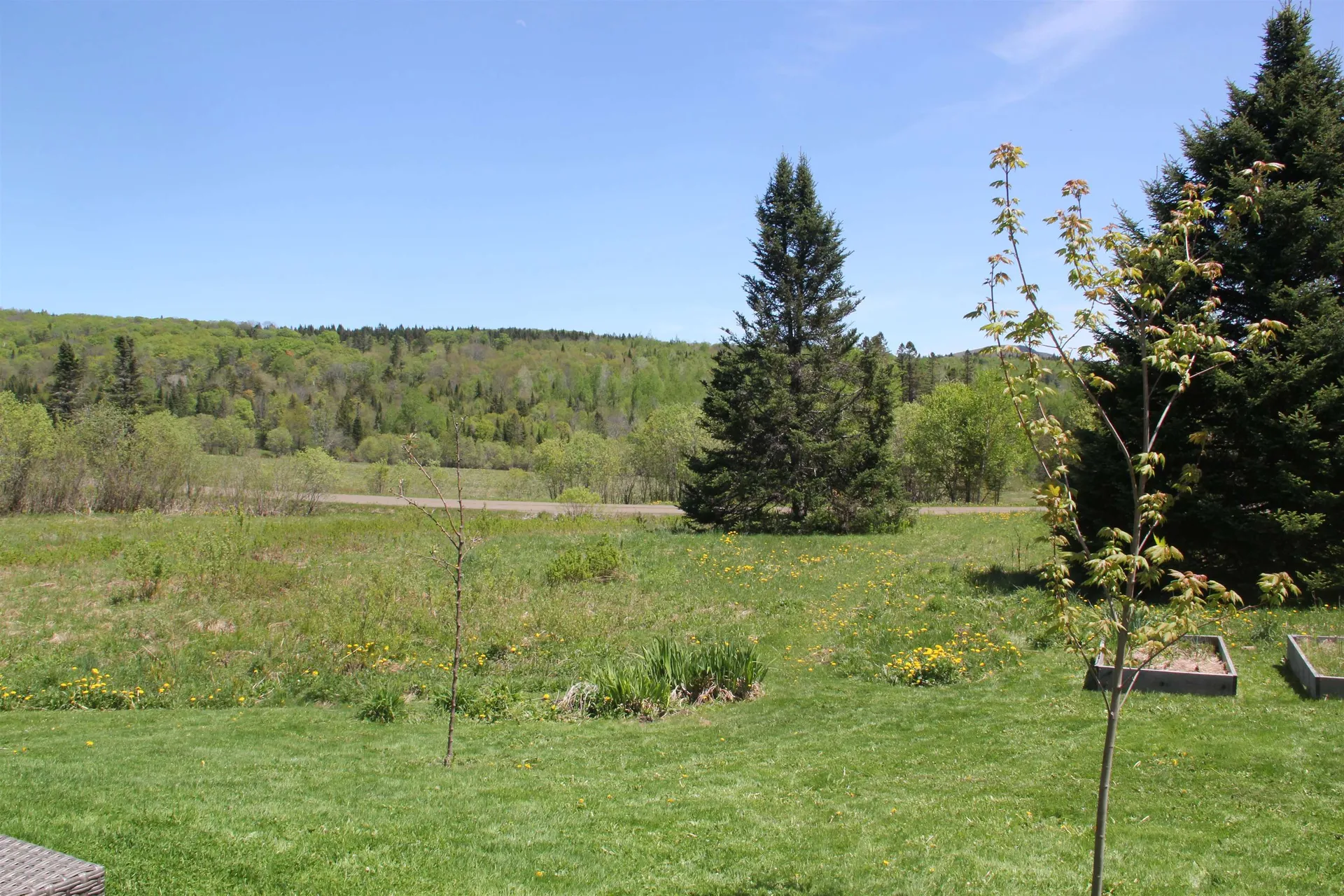 1981 Danville Hill Road Cabot VT 05647