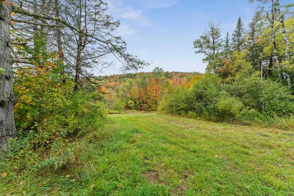 335 Calais Road Worcester VT 05682