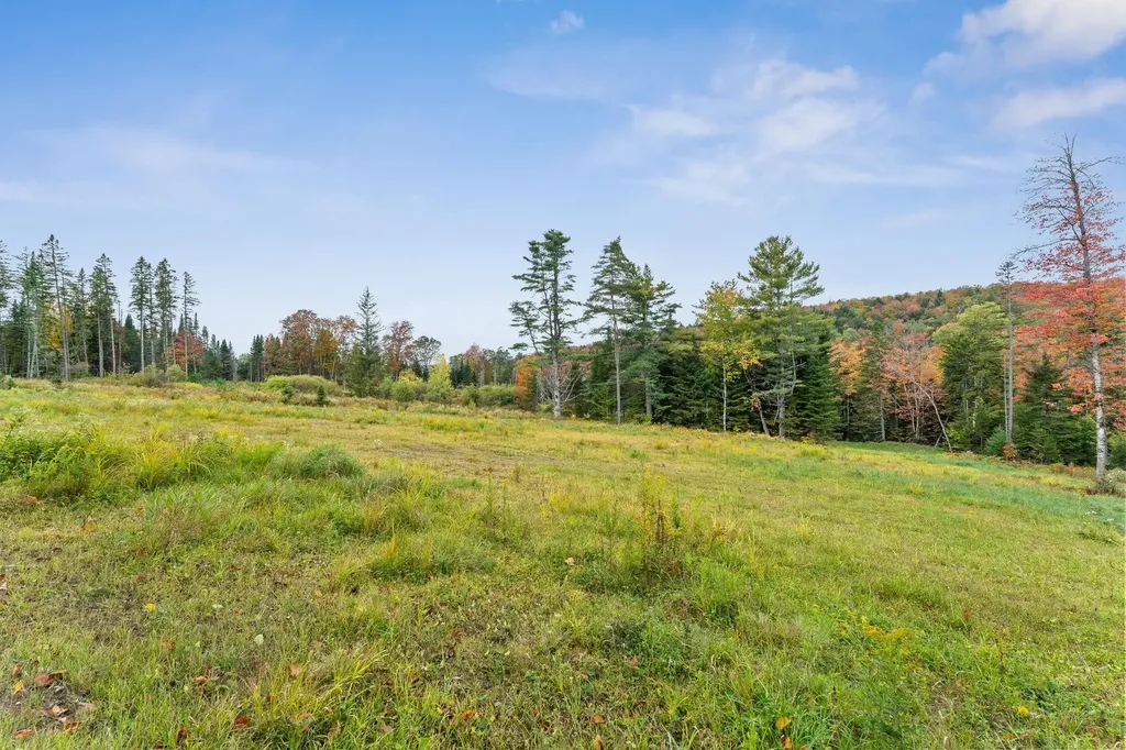 335 Calais Road Worcester VT 05682