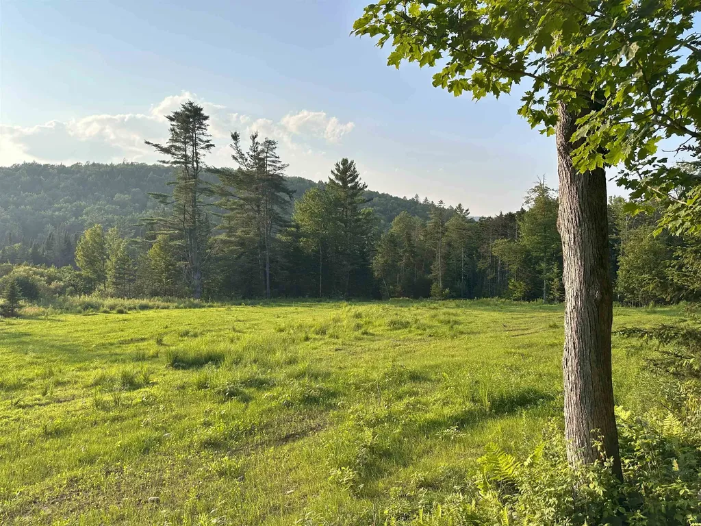 335 Calais Road Worcester VT 05682