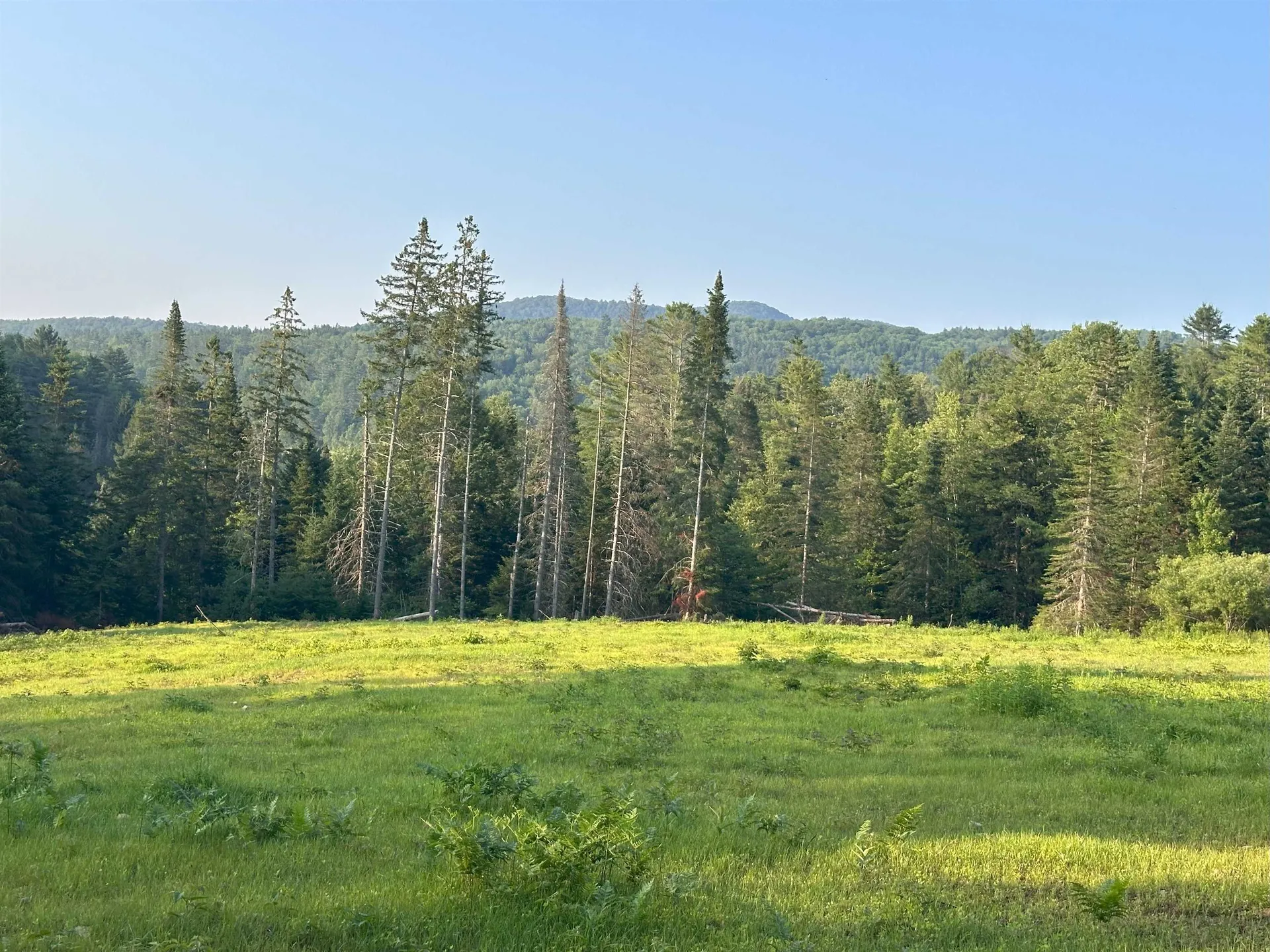 335 Calais Road Worcester VT 05682