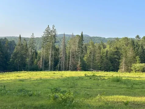 335 Calais Road Worcester VT 05682