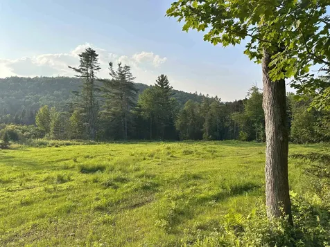 335 Calais Road Worcester VT 05682