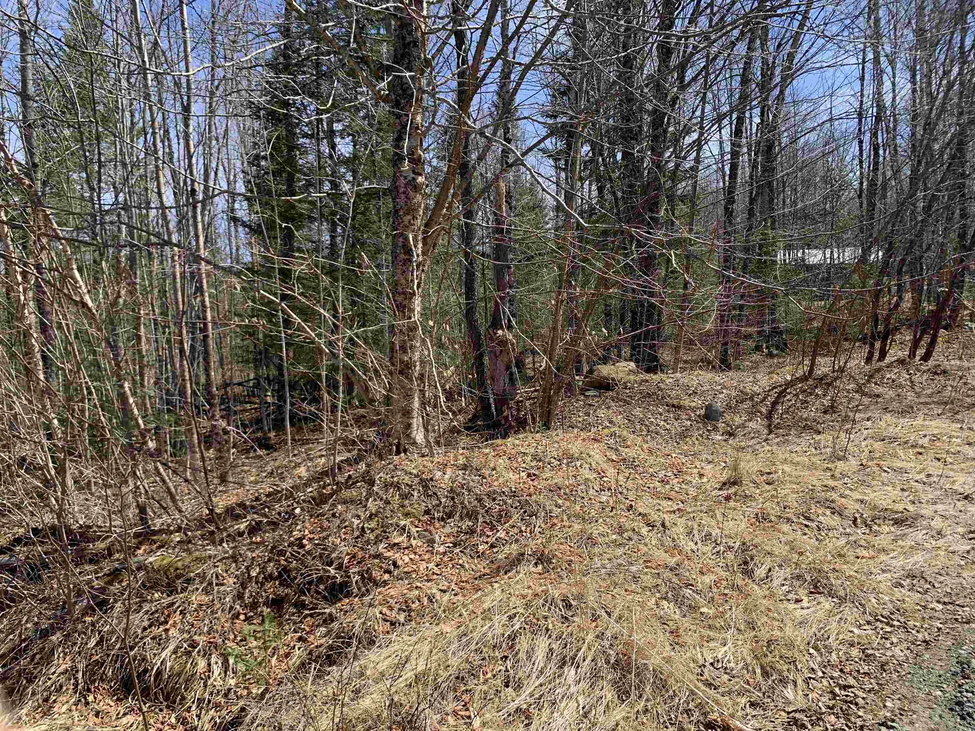 4 Washburn Road Columbia NH 03576