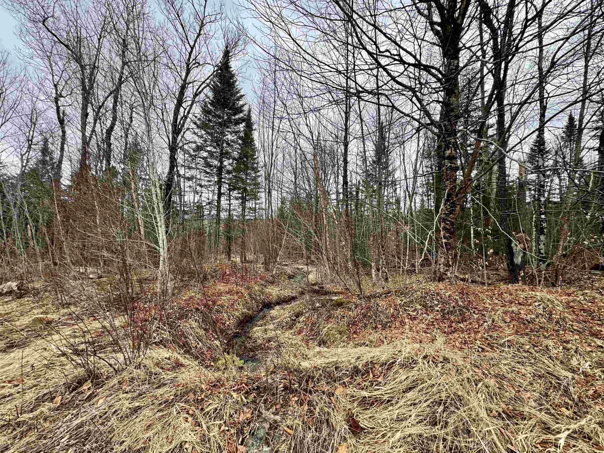 4 Washburn Road Columbia NH 03576