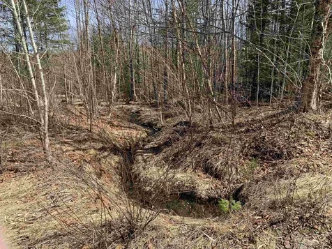 4 Washburn Road Columbia NH 03576