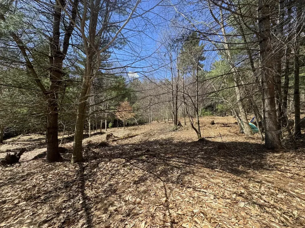 Lot 5 Haley Drive Hyde Park VT 05655