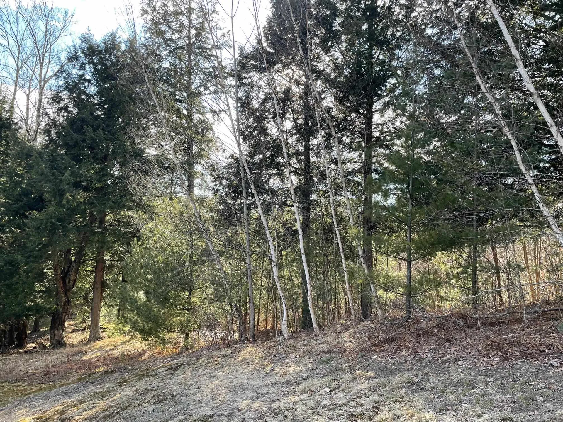 Lot 5 Haley Drive Hyde Park VT 05655