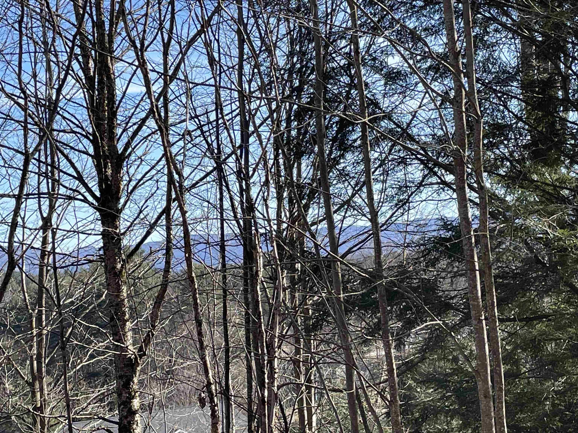 Lot 5 Haley Drive Hyde Park VT 05655