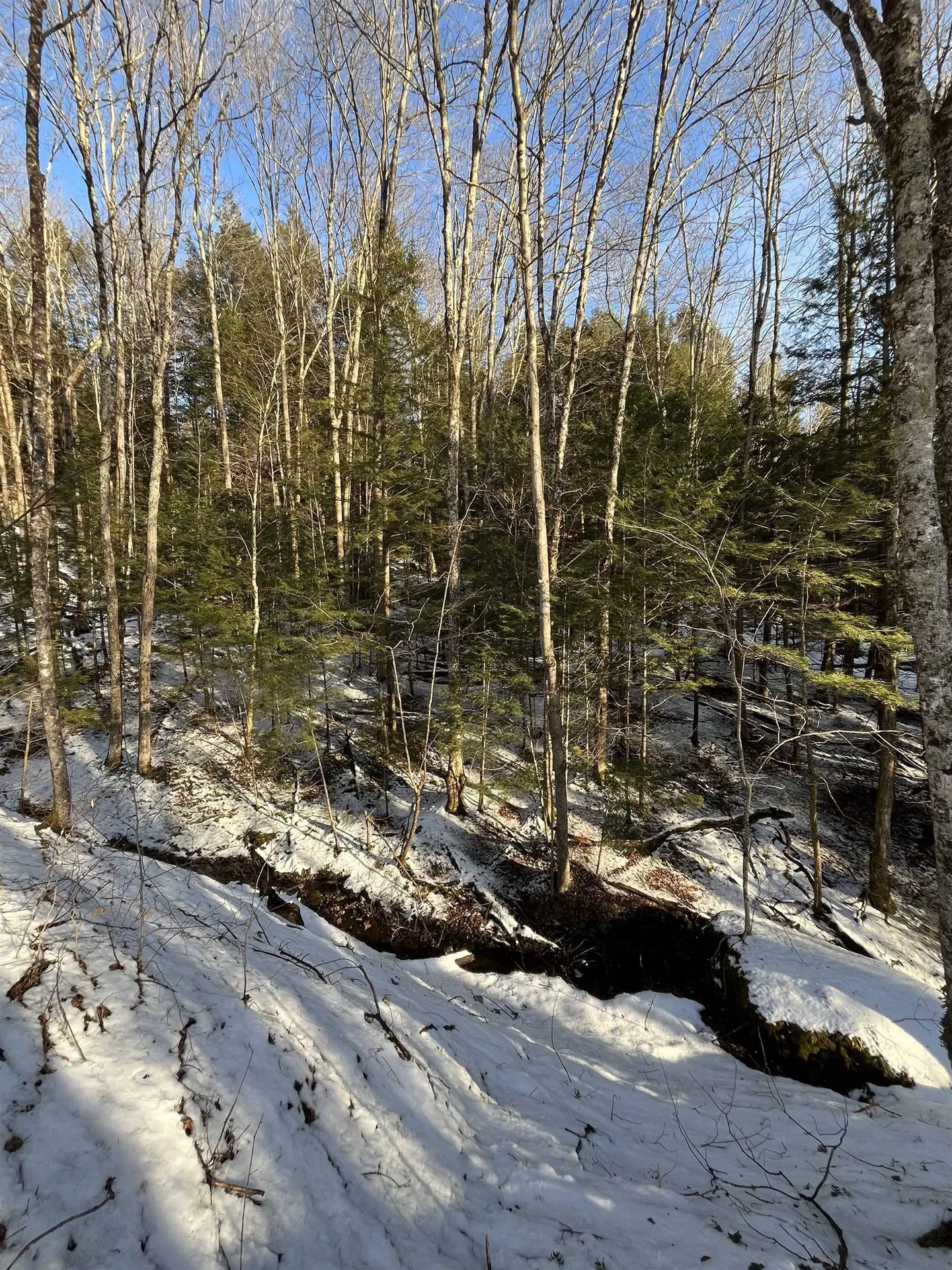 Lot 5 Haley Drive Hyde Park VT 05655