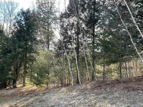 Lot 5 Haley Drive Hyde Park VT 05655
