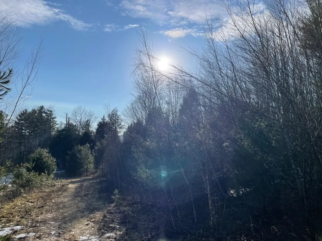 Lot 4 Haley Drive Hyde Park VT 05655
